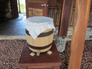 20L. oak wooden barrel for continuous Kombucha brewing.