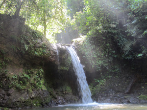 The "famous" waterfall on our land: Cascada la Famosa.