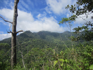 View of La Cangreja national park from one of our mountain tops.