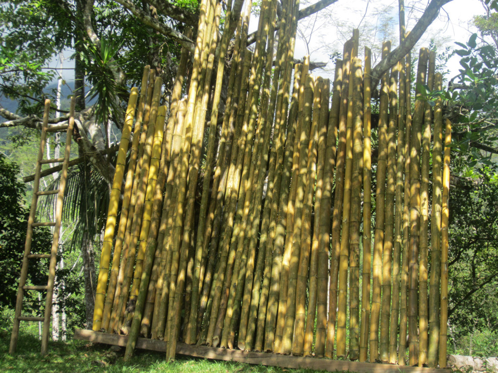 drying bamboo