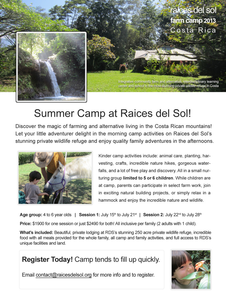 summer camp 2013 flyer