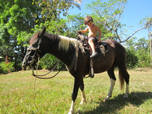 horse backriding costa rica
