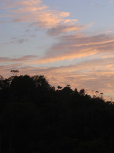 Beautiful views Costa Rica