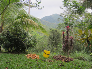 Views Costa Rica