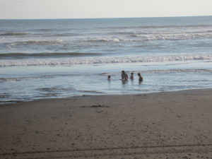 Costa Rica beach