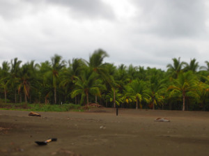 Costa Rica beach
