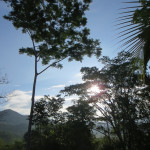 Views Costa Rica
