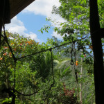 Nature Costa Rica