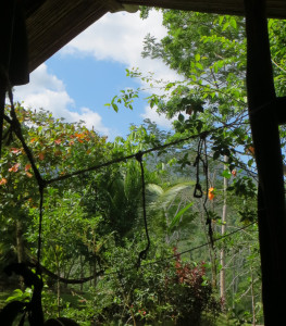 Nature Costa Rica