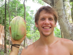 Some of our Mangoes are bigger than Vince's head!