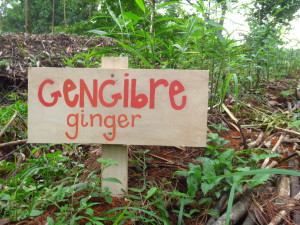 One of the many signs you'll find throughout the farm. Thanks Nathalie!