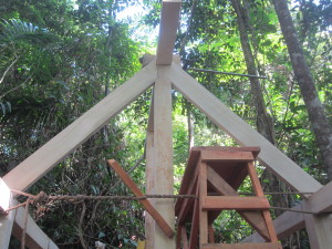 Timber framing in the forest. Note the temporary clamp to sustain the king post joint and the rope setup to hold the posts square. This type of setup makes it possible for a single person to do the entire raising of a small structure with no machinery.